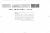 What is Organization Theory
