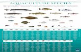 Poster Aquaculture
