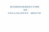 Bio Degradation of Cellulosic Waste 1