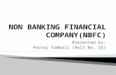 Non Banking Financial Nbfc