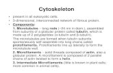 Cytoskeleton Plastids, Vacuoles