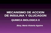 insulina-glucagon 2007