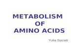 Bm2-Metabolisme Asam Amino