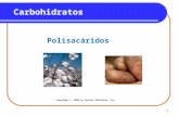 1 Carbohidratos Polisacáridos Copyright © 2009 by Pearson Education, Inc.