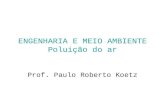 ENGENHARIA E MEIO AMBIENTE Poluição do ar Prof. Paulo Roberto Koetz