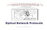 Optical Network Protocols