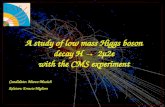 24/09/07M. Musich - Presentazione Laurea Magistrale1 A study of low mass Higgs boson decay H 2μ2e with the CMS experiment Candidato: Marco Musich Relatore: