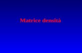Matrice densit . 1 elettrone (x)=A(r)‰(s) Funzione densit  N elettroni (x 1,x 2,...x N ) Funzione densit  Funzione di coppia