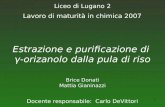 1 Estrazione e purificazione di γ-orizanolo dalla pula di riso Brice Donati Mattia Gianinazzi Lavoro di maturità in chimica 2007 Liceo di Lugano 2 Docente.