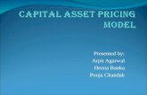 Financial Mgt. - Capital Asset Pricing Model