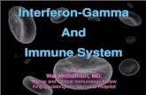 Interferon-gamma and immune system