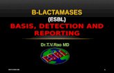 Laboratory detection of ESBL