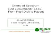 ESBL: From petri dish to patient