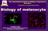 Biology of melanocyte - Professor Torello Lotti, MD - University G.Marconi, Rome, Italy - and Linda Tognetti, MD - Department of Dermatologic Sciences University of Florence, Italy