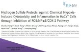 Hydrogen Sulfide Protects against Chemical Hypoxia-Induced Cytotoxicity and Inflammation in HaCaT Cells through Inhibition of ROS/NF-κB/COX-2 Pathway