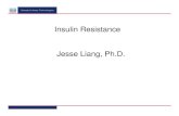 Insulin resistance 2013