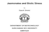 Jasmonates and Biotic Stress