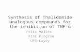 Propuesta rise thalidomide.ppt felix valles
