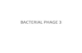 Bacterial phage 3