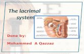 lacrimal system anatomy and clinical