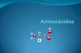 Aminoácidos 1