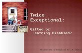 Differentiated instruction for the twice exceptional