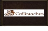 Callimachus intro 20100928