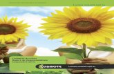 Raportul de CSR al Cosmote Romania pe anul 2010