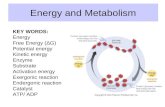 Ch.6   energy   enzymes