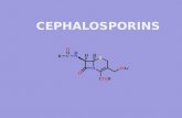 4. cephalosporins