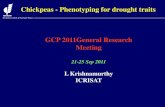 GRM 2011: Phenotyping chickpeas for drought tolerance