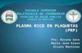 Plasma rico en plaquetas (prp)