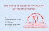 The effect of diabetes mellitus on periodontium