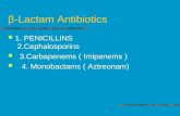 β Lactam antibiotics
