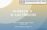 Alergia B-lactámicos