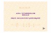 Axa Numerelor -Asistenta Unitate 2