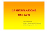 Regolazione GFR e FPR