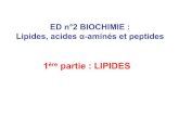 Biochimie - PCEP1 (Lyon) -ED- Lipides Et Acides Aminés (Couleur)(2009)