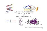 Unidad 2 Aminoacidos Peptidos y Proteinas 1887