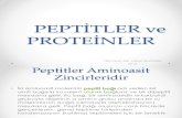 Peptitler ve Proteinler