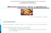 Metabolismo Dos Lipideos 1