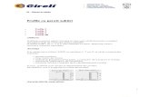 Microsoft Word - Catalog GIRELI 004 Profile Cu Pereti Subtiri