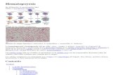 Hematopoyesis de hematologia