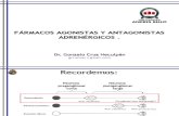 15- Fármacos agonistas y antagonitas adrenergicos (1)