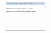 Algebra TP - Cap 2 - Determinantes