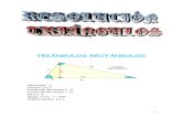 Matematicas Ejercicios Resueltos Soluciones Resolución de Triángulos 1º Bachillerato o antiguo 2º BUP