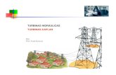 Electricidad - Curso Turbinas Kaplan