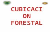 Cubicacion Forestal