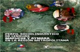 Perfil Sociolingüístico de Lenguas Mapuche y Aymara en la Región Metropolitana