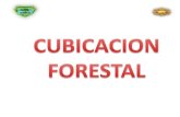 106855513 Cubicacion Forestal